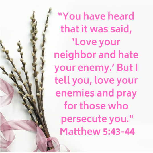 “you have heard that it was said, ‘love your neighbor and hate your enemy._ but i tell you, love your enemies and pray for those who persecute you._ matthew 5